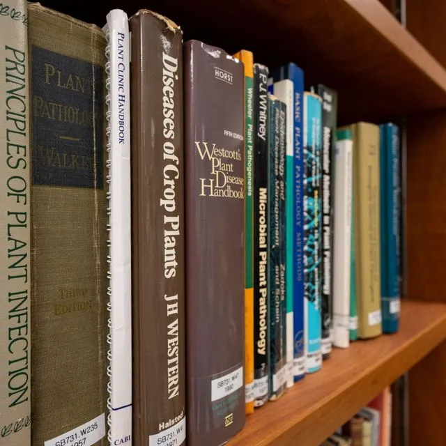 thumbnail for publication: Preventing Teacher Burnout in Agricultural Education